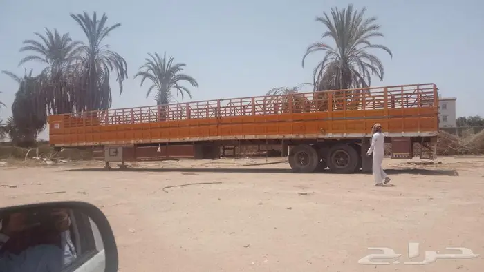 تياذر 20 متر 0