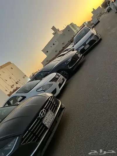 مجموعة صني للبيع واكسنت للبيع 17