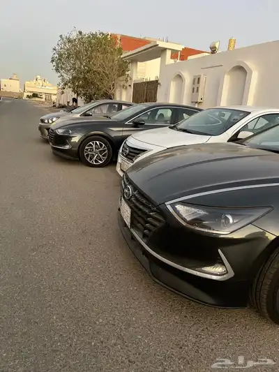 مجموعة صني للبيع واكسنت للبيع 27