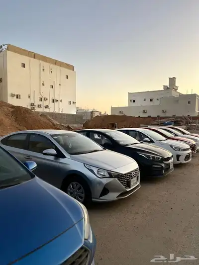 مجموعة صني للبيع واكسنت للبيع 31