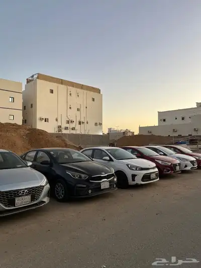 مجموعة صني للبيع واكسنت للبيع 39