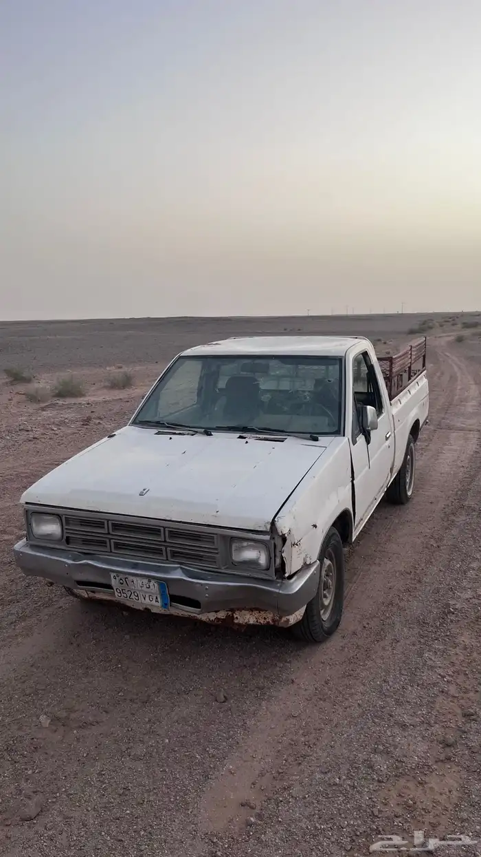 ددسن 1986 0