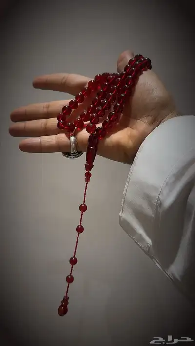 بكلايت بلجيكي شبيه الكاست تمليكه خراطه مصريه 2