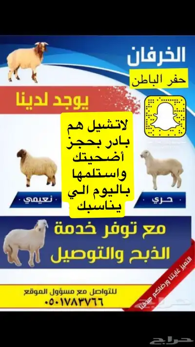 اضاحي للبيع 0