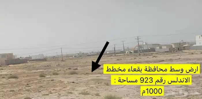 للبيع ارض وسط محافظة بقعاء مساحة 1000م - اقل سعر 2