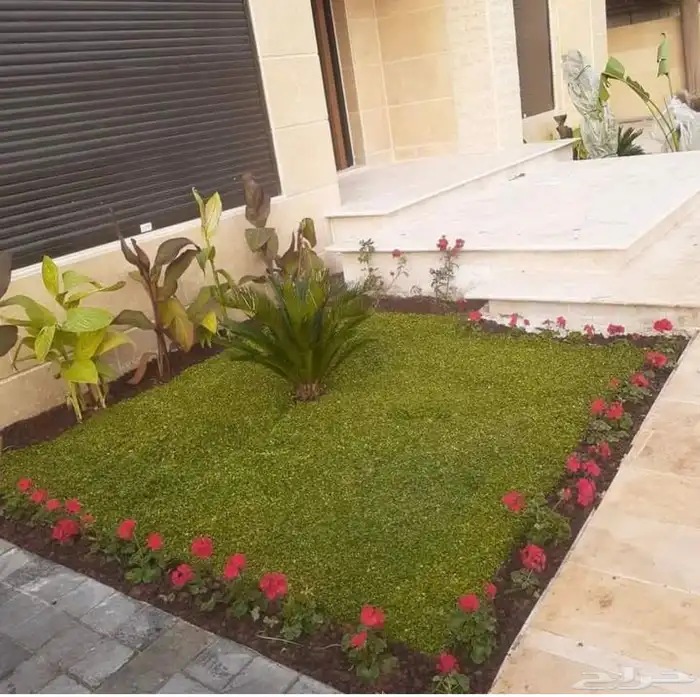 زراعه وحدائق 11