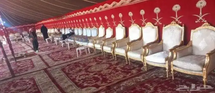تاجير خيول ونياق وخيام 18