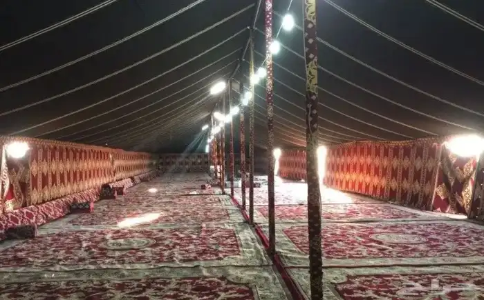 تاجير خيول ونياق وخيام 14