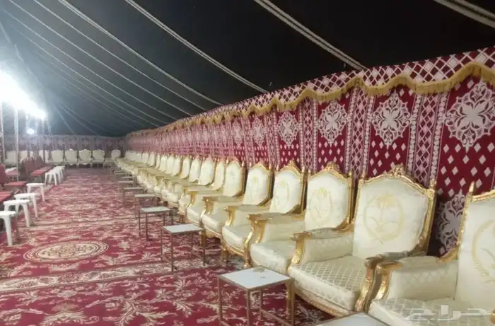 تاجير خيول ونياق وخيام 13