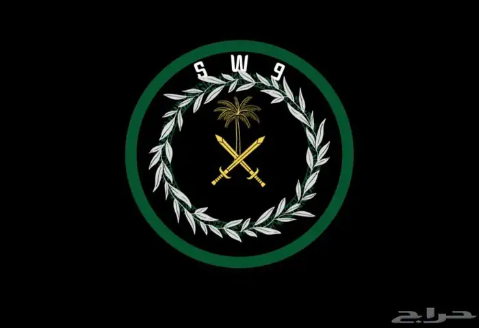 تصميم شعار احترافي 3