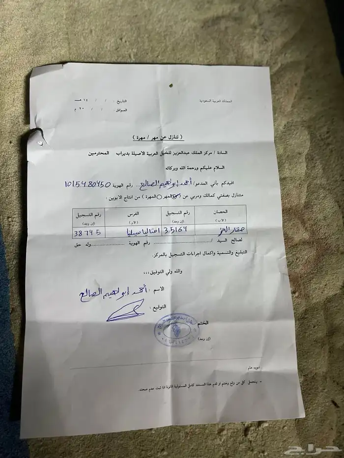 للبيع مهر عمره 5 شهور مايشكى من شى صحه ونضافه 2