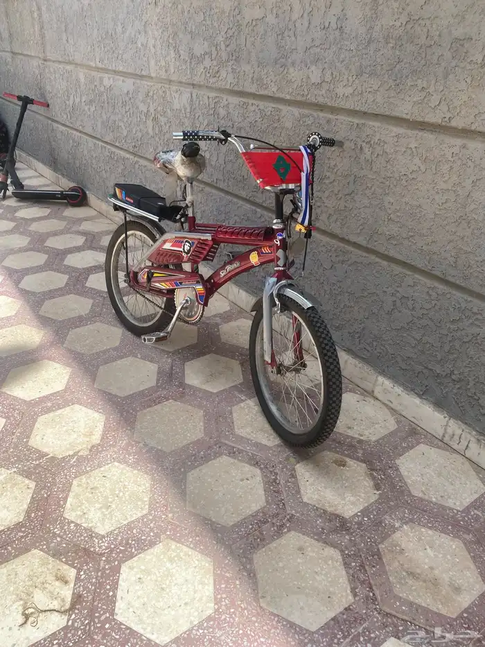 رامبو اندنوسي 1