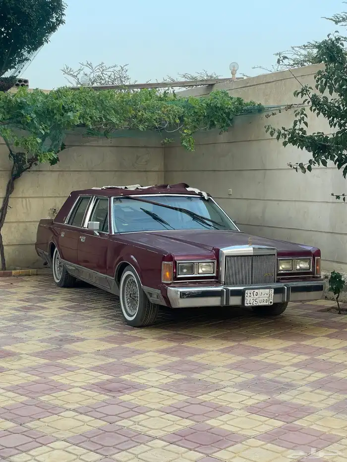 لنكون تشليح بالكامل 2