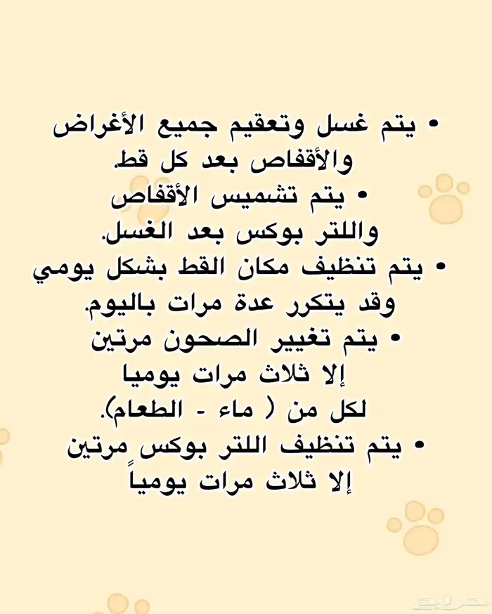 فندقة قطط  عمليات تعقيم مراجعة بالعياده حلاقة بدون بنج الخ 5