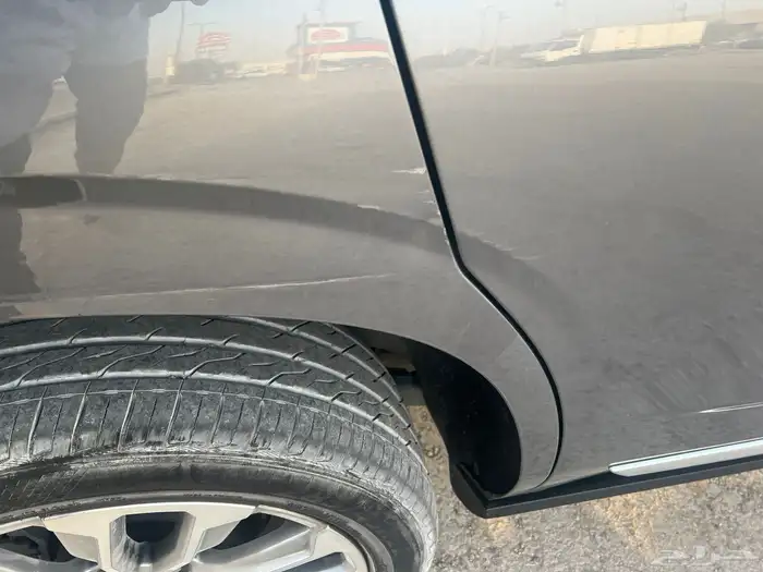 دينالي فل كامل 8