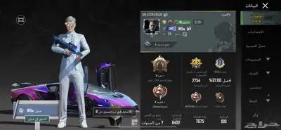 حساب ببجي للبيع 17