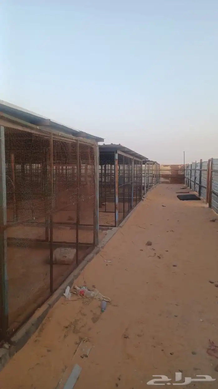 مشروع للايجار 0