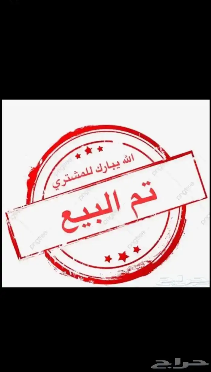 ديك عربي شوكي اصل فحل حار 0