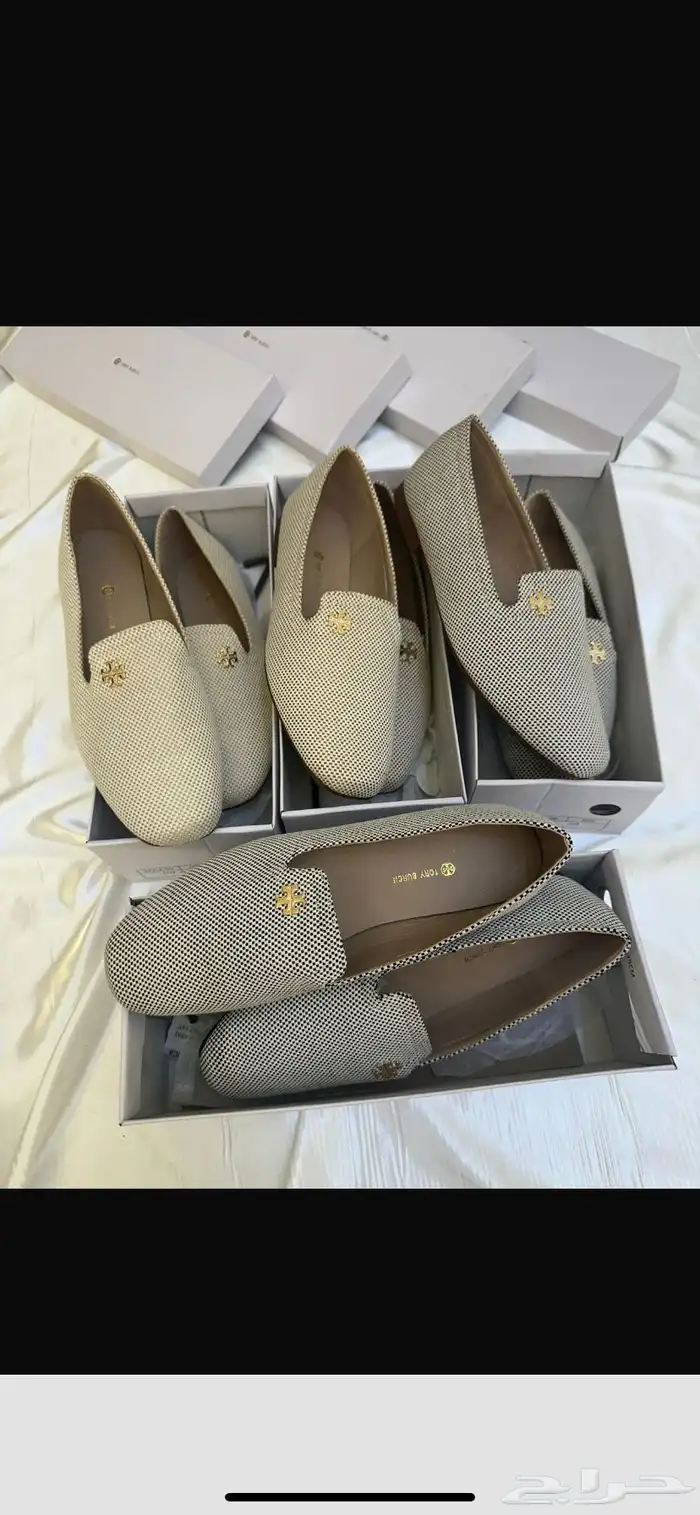 هيلز كوتش ولويس 10