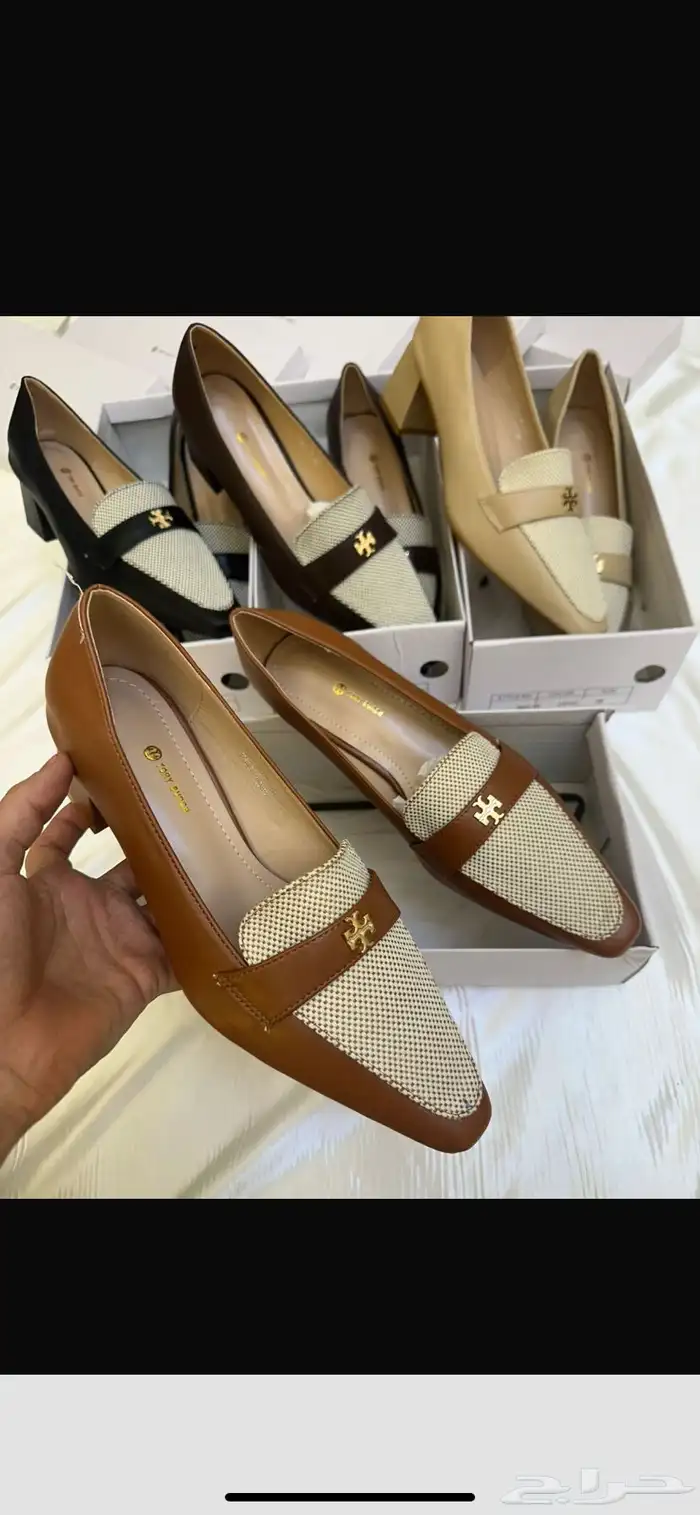 هيلز كوتش ولويس 0