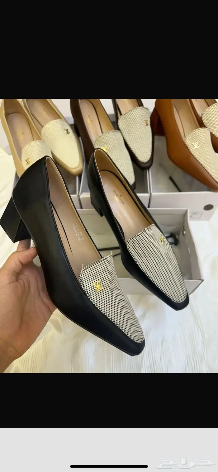 هيلز كوتش ولويس 6