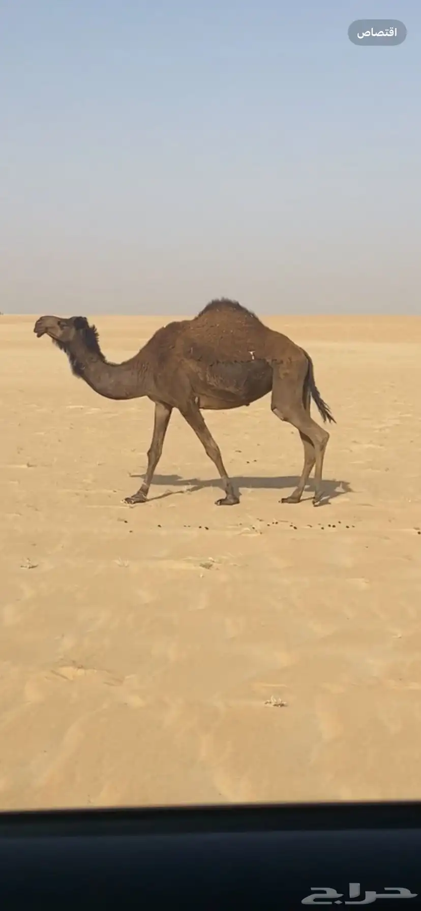 تم البيع 0