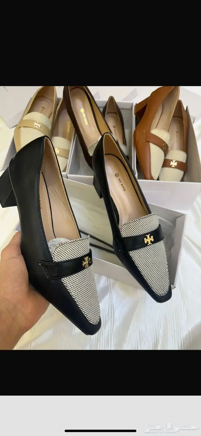 هيلز كوتش ولويس 5