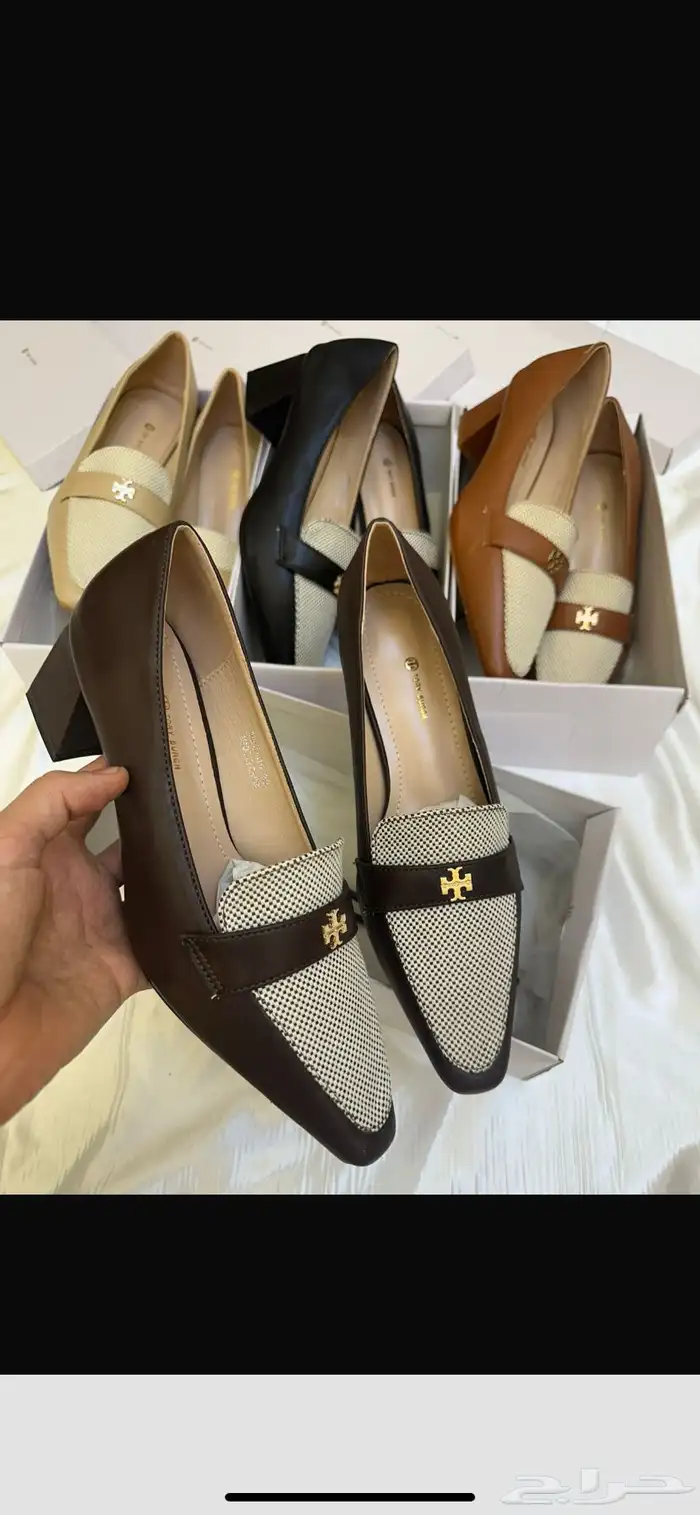 هيلز كوتش ولويس 3