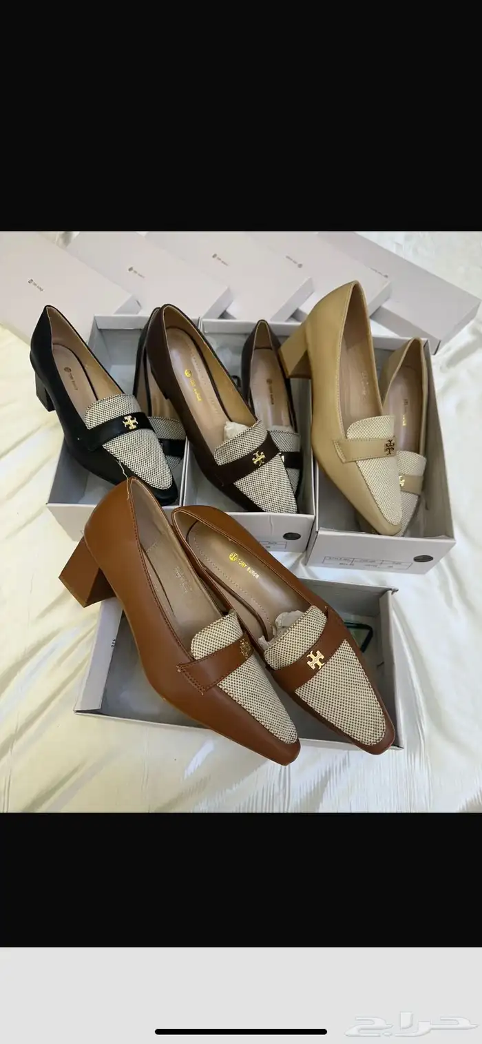 هيلز كوتش ولويس 4