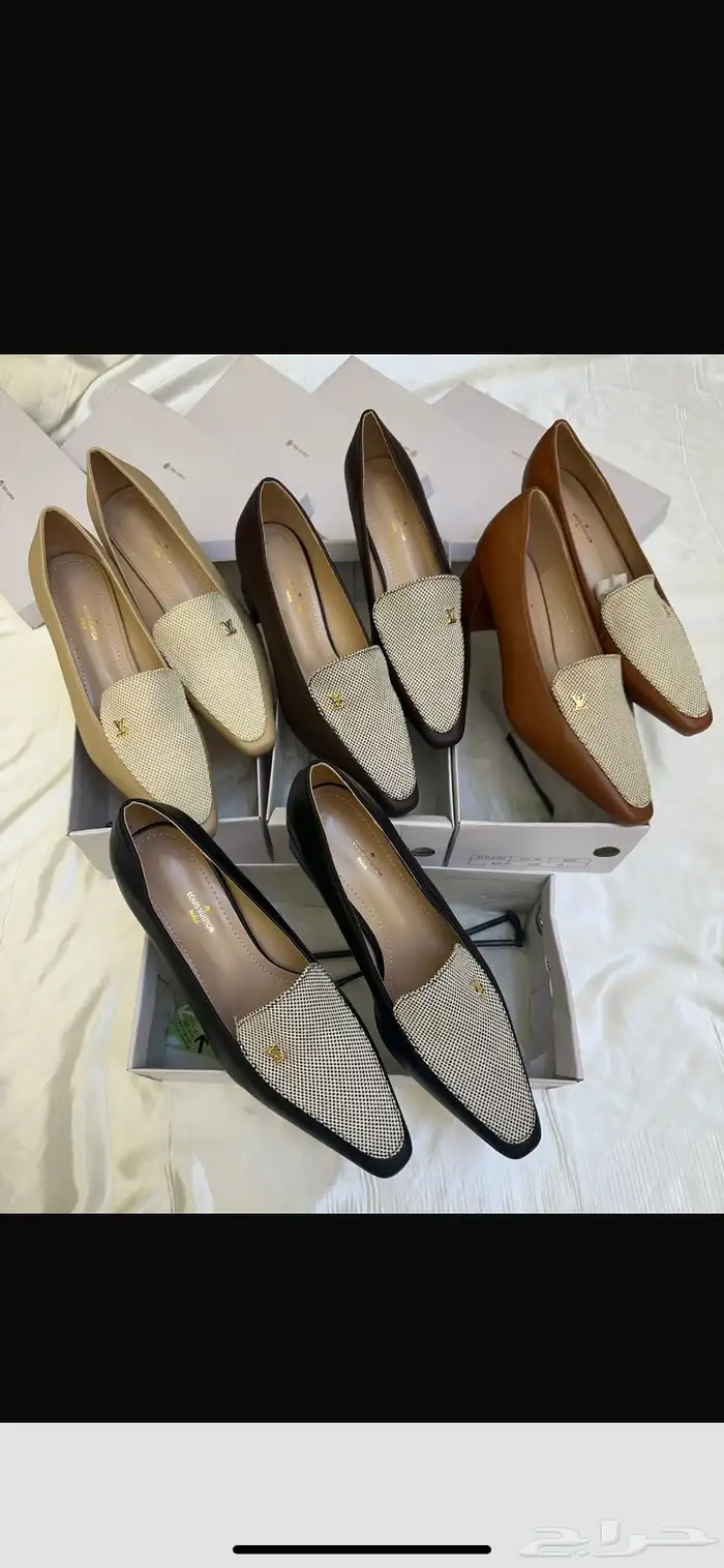 هيلز كوتش ولويس 12