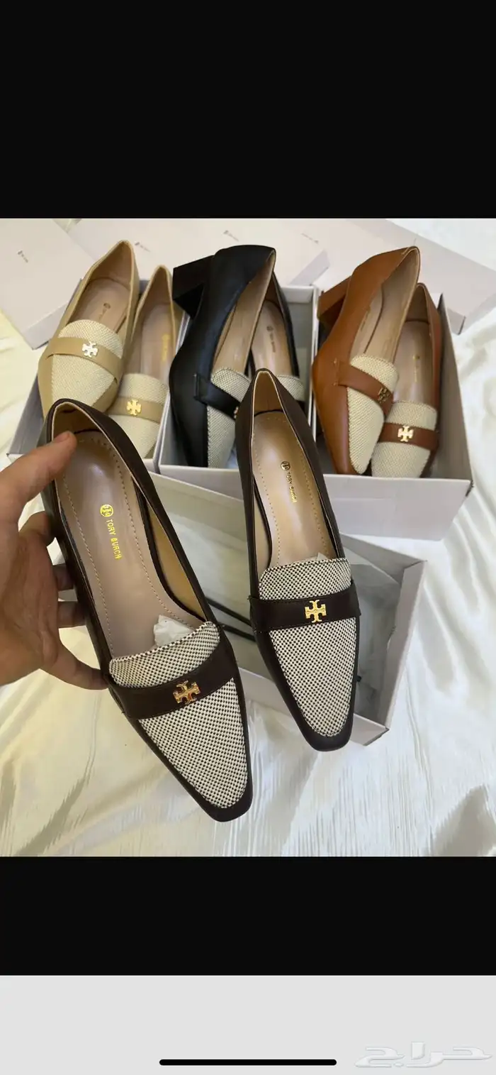 هيلز كوتش ولويس 7