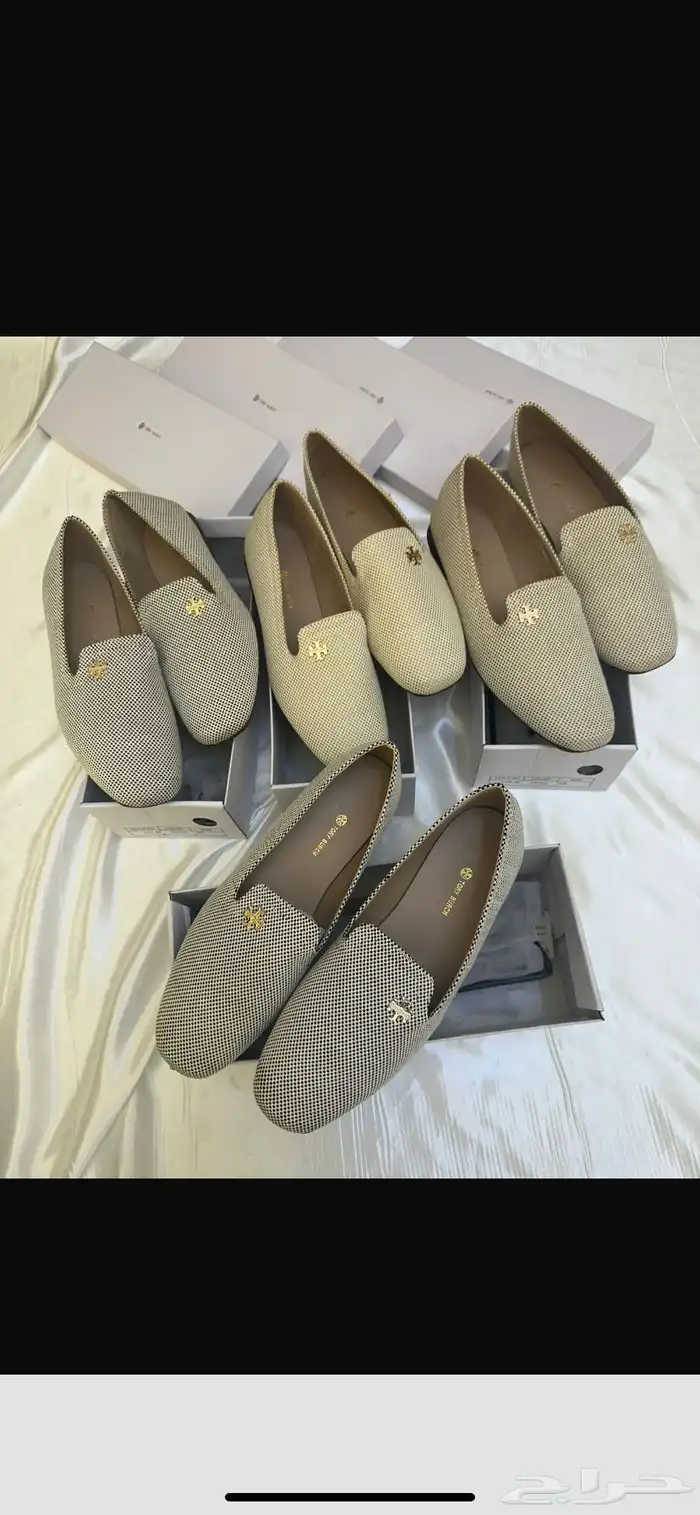 هيلز كوتش ولويس 11