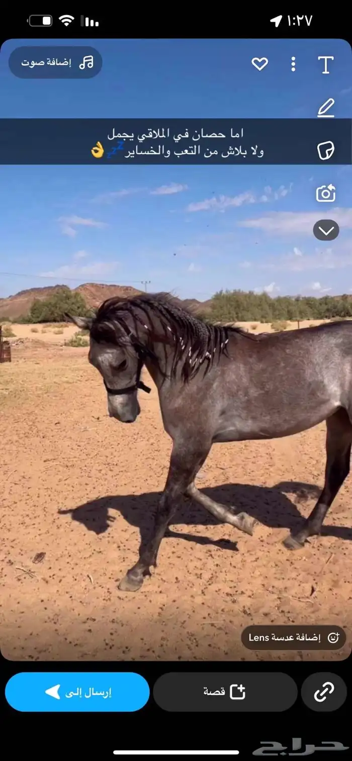 عمره سنتين و11 يوم 0