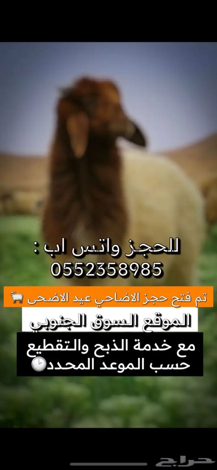 متوفر لدينا ضحايا 0