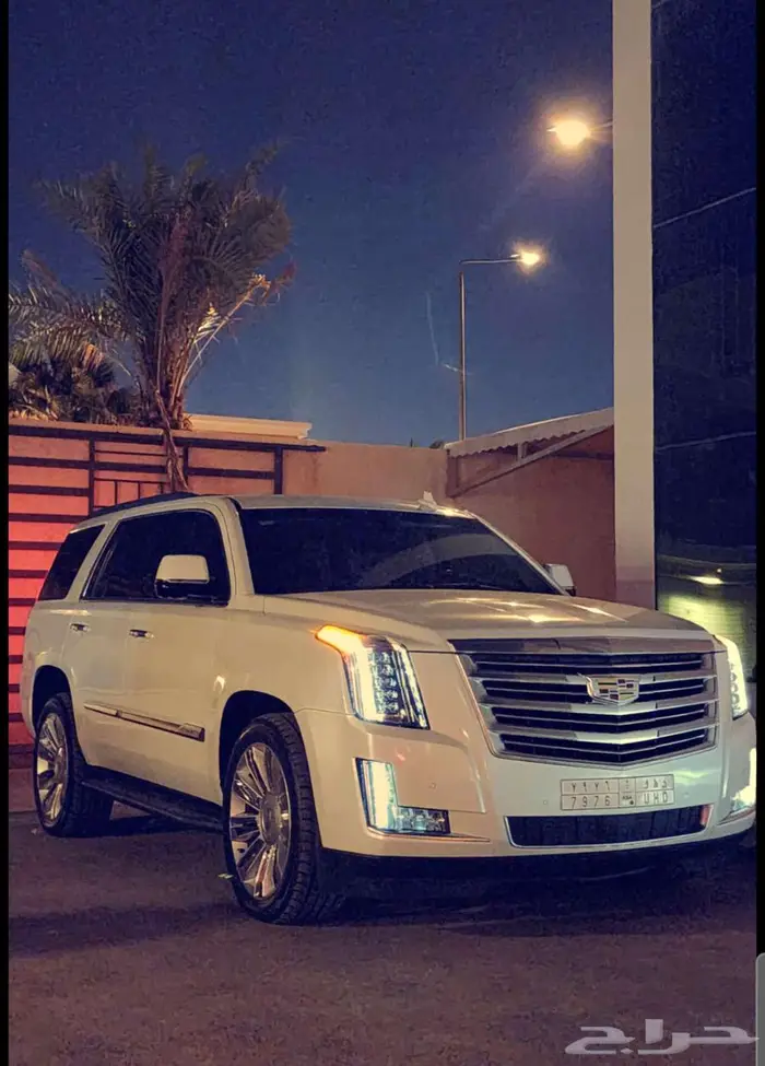 توصيل لمناطق المملكة بسيارة جديدة 0