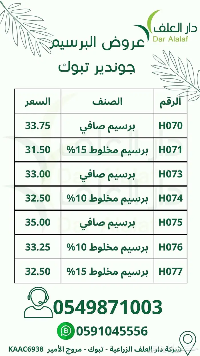 برسيم صافي نخب أول تبوك 2
