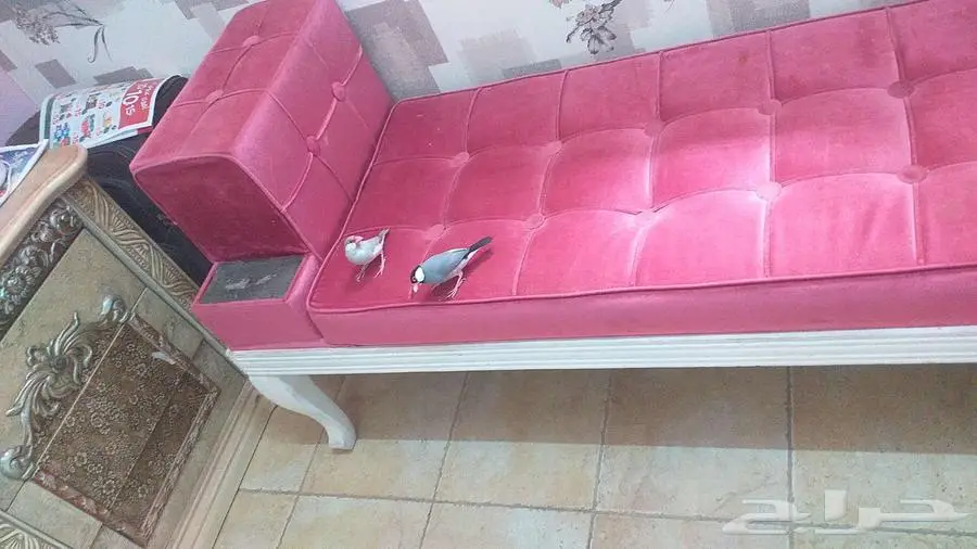 جاوا برز 1