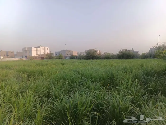بونيكام للبيع 4