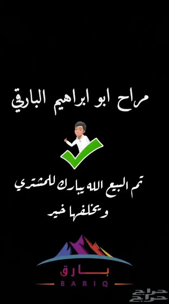 تيس ادهم مخصي اضحيه ( تم البيع) 3