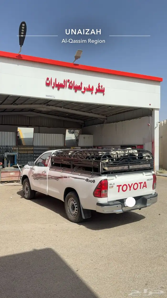 موصل حلال توصيل اغنام اضاحي 0