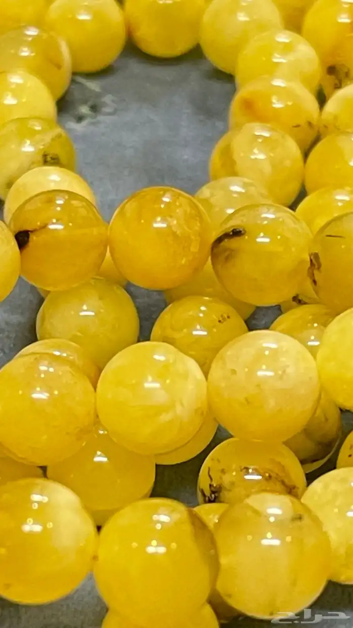 سبحه كهرمان كلنغرادي حر 99 2