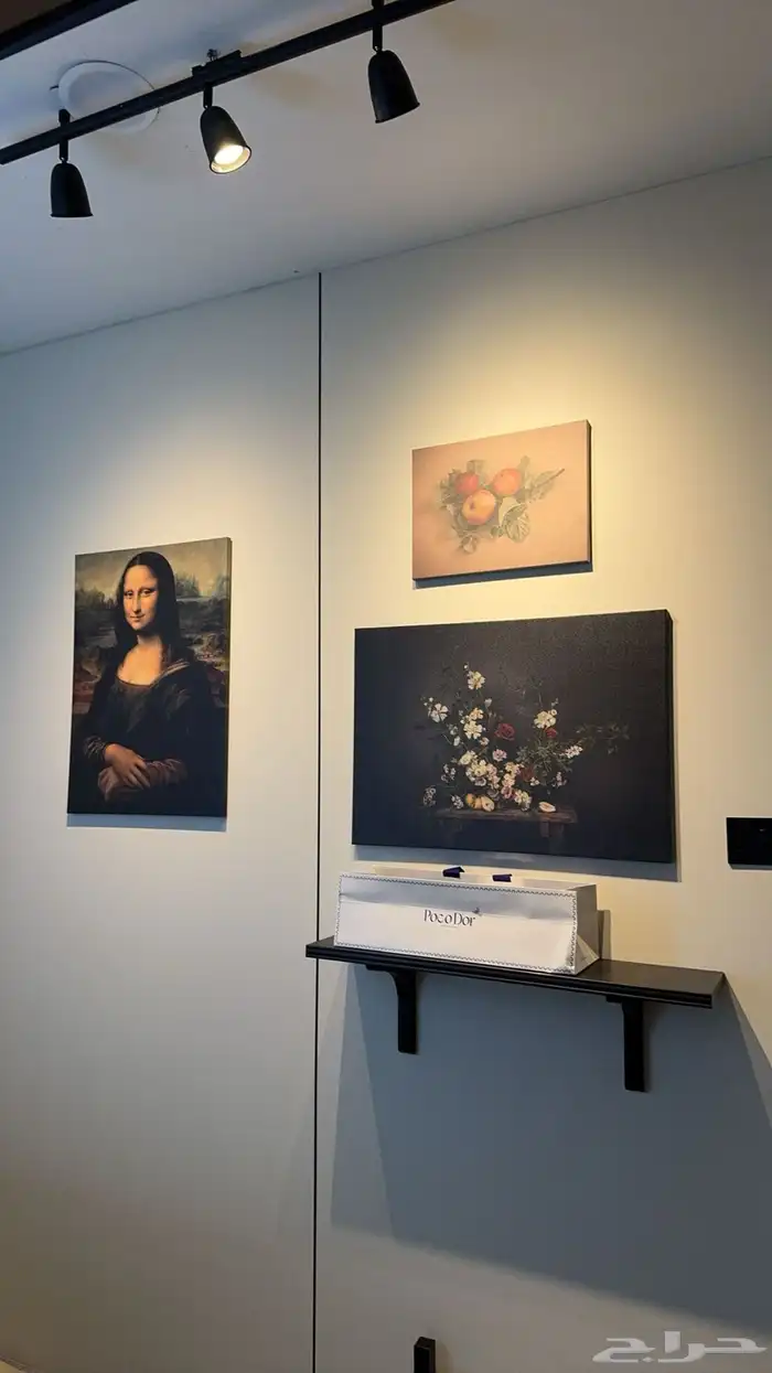 تصاميم داخلية 1