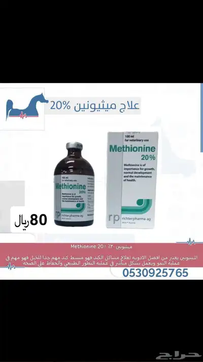 علاجات خيل تغذيه 1