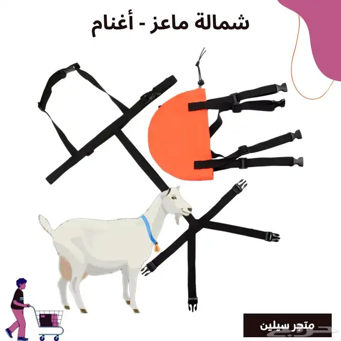 شمالة ماعز و اغنام 0