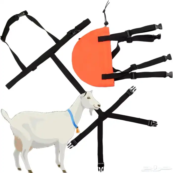 شمالة ماعز و اغنام 3