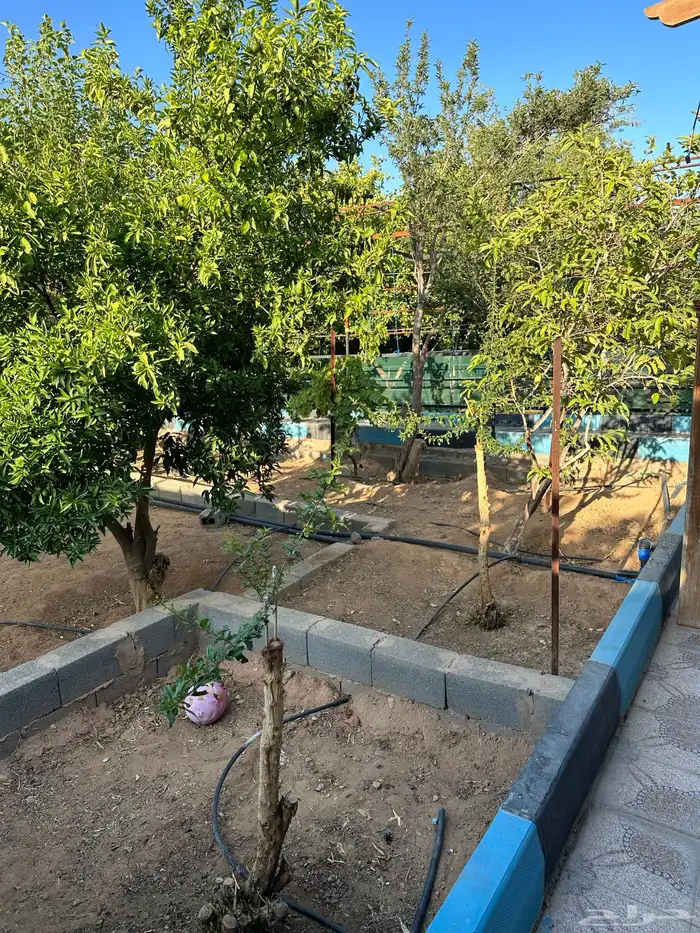 استراحة الدرعية للايجار 8