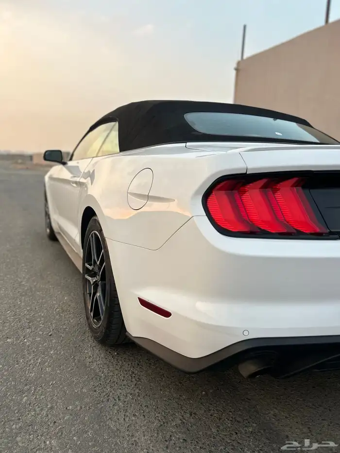 موستنق ايكوبوست 2020 41