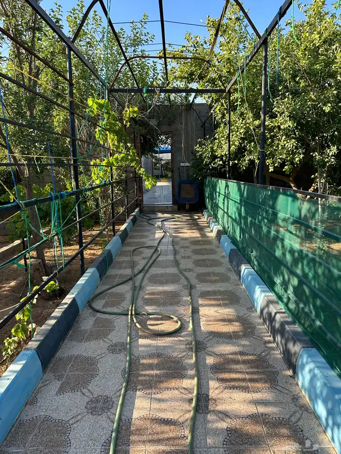 استراحة الدرعية للايجار 11