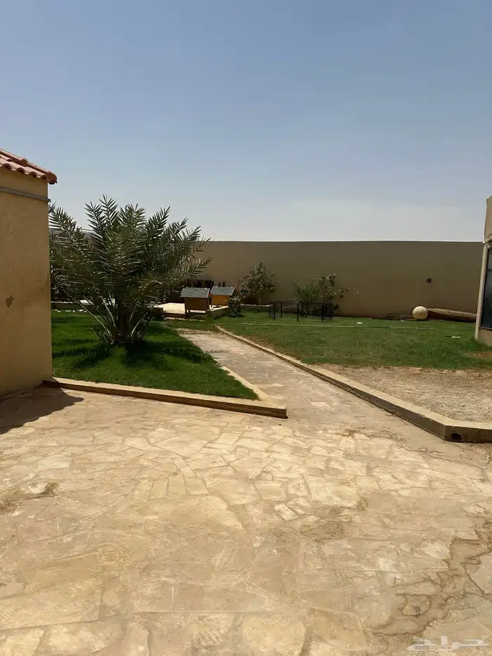 فندقه كلاب وقطط 2