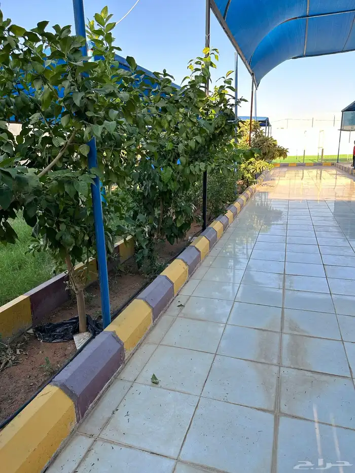 استراحة الدرعية للايجار 21